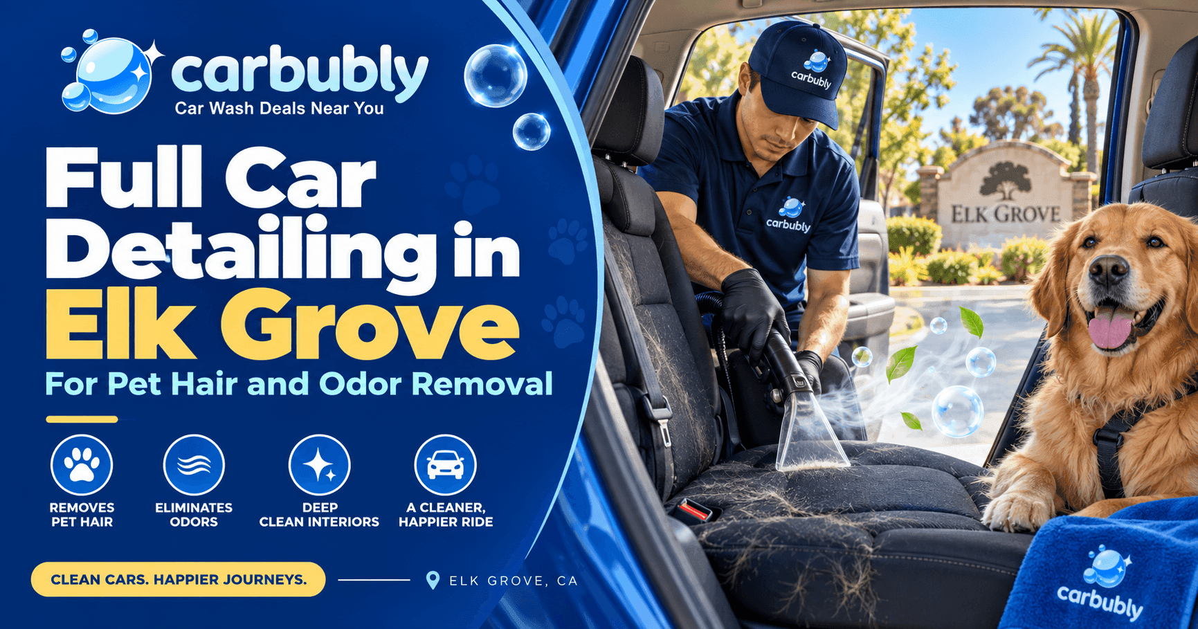 Full Car Detailing in Elk Grove for Pet Hair