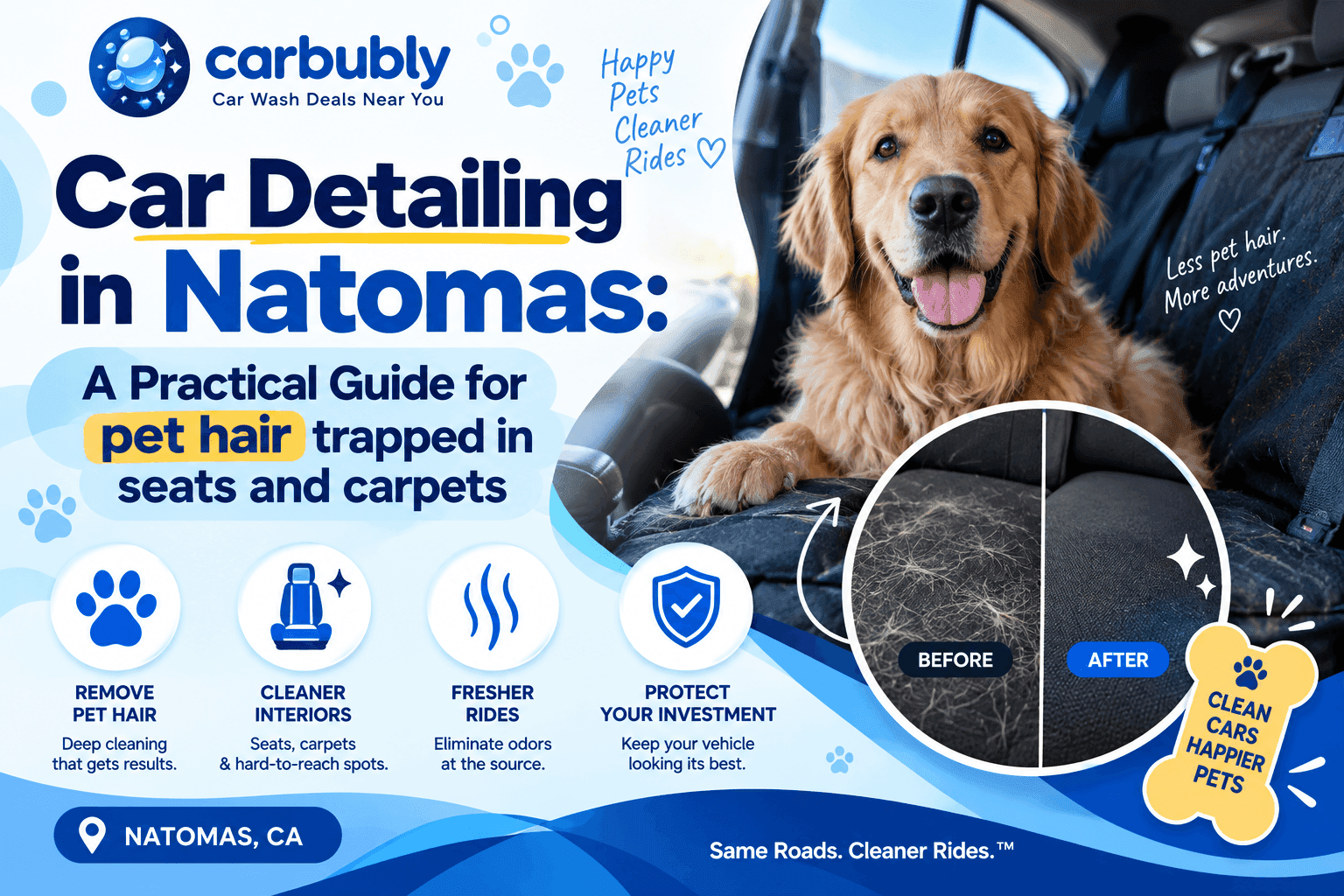 Full Car Detailing Natomas for Pet Hair