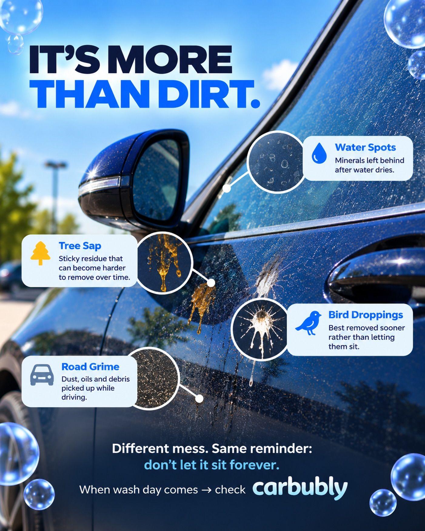 Removing Stubborn Tree Sap and Bird Droppings: A Rancho Cordova Driver's Guide